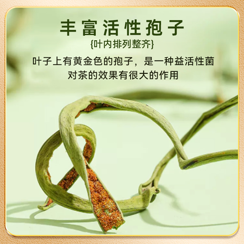 同仁堂55g长白山肾精草肾精茶黄金化石草嗷嗷叫非野生官方旗舰店高清大图