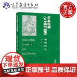 正版 肛肠疾病少见病例图谱 李春雨 高春芳 杨关根 先天性疾病良性疾病肿瘤性疾病排便障碍性疾病炎症性疾病 高等教育先