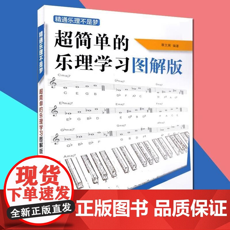 超简单的乐理学习图解版 精通乐理不是梦 音乐理论基础教程 五线谱入门 乐理基础知识书籍教材 入门基础教程书初学钢琴吉他