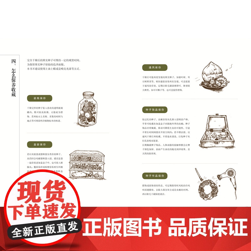[店]种子的可能——从辨识、收集到创作 植物科普园艺生活高清大图