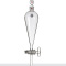 SYNTHWARE F789250分液漏斗玻璃节门,250ml,19/22玻璃塞子 个