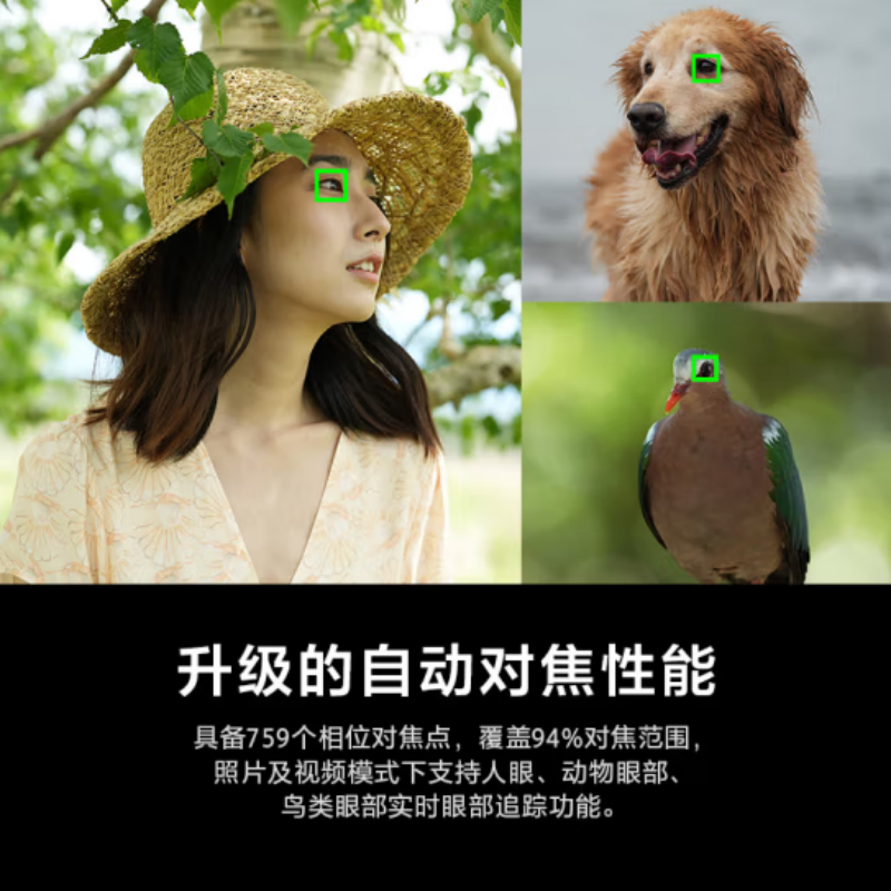 索尼 Alpha 7 IV 全画幅微单数码相机 单机身 五轴防抖 4K 60p(ILCE-7M4/A7M4)高清大图
