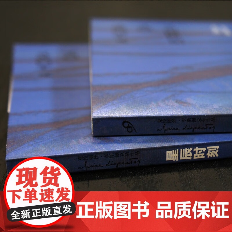星辰时刻 克拉丽丝·李斯佩克朵 著 小说高清大图