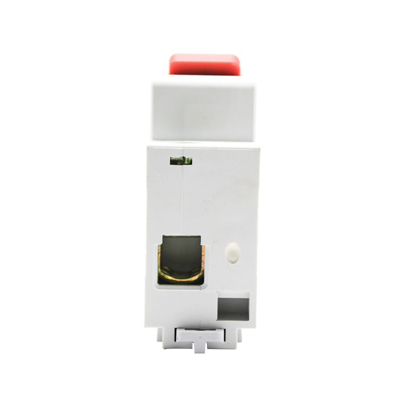 德力西空气开关DZ47 1P家用小型断路器100A