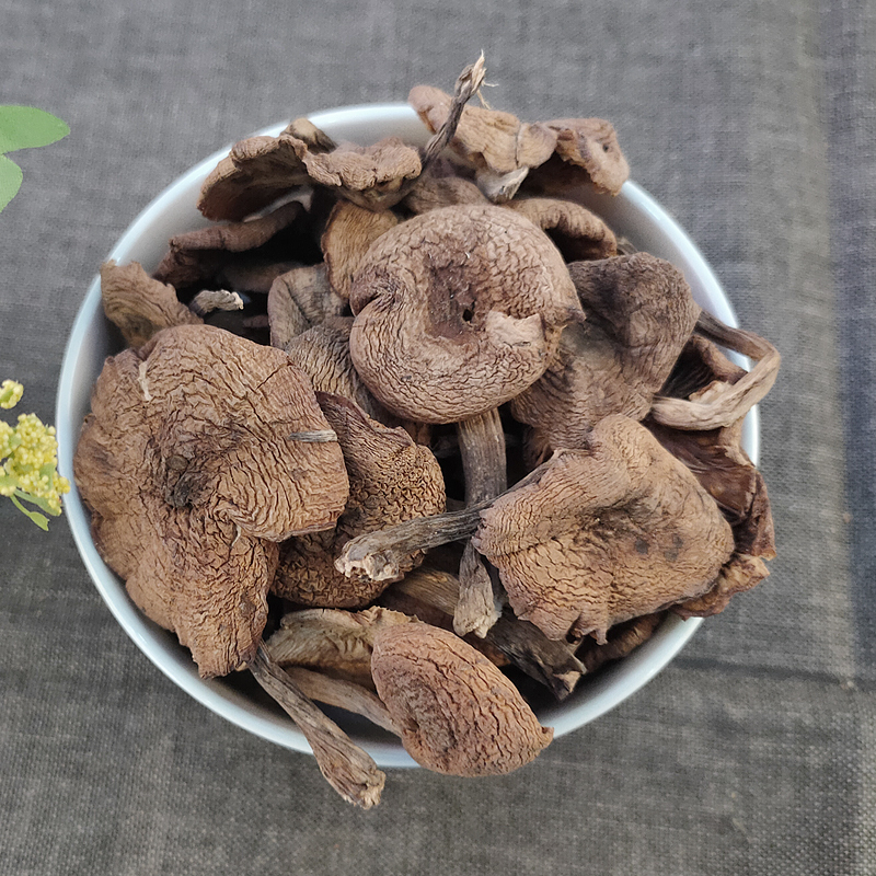 黑土小镇榛蘑200g 袋装榛蘑干货 菌菇干货东北特产山珍干货食用菌 小鸡炖蘑菇食材