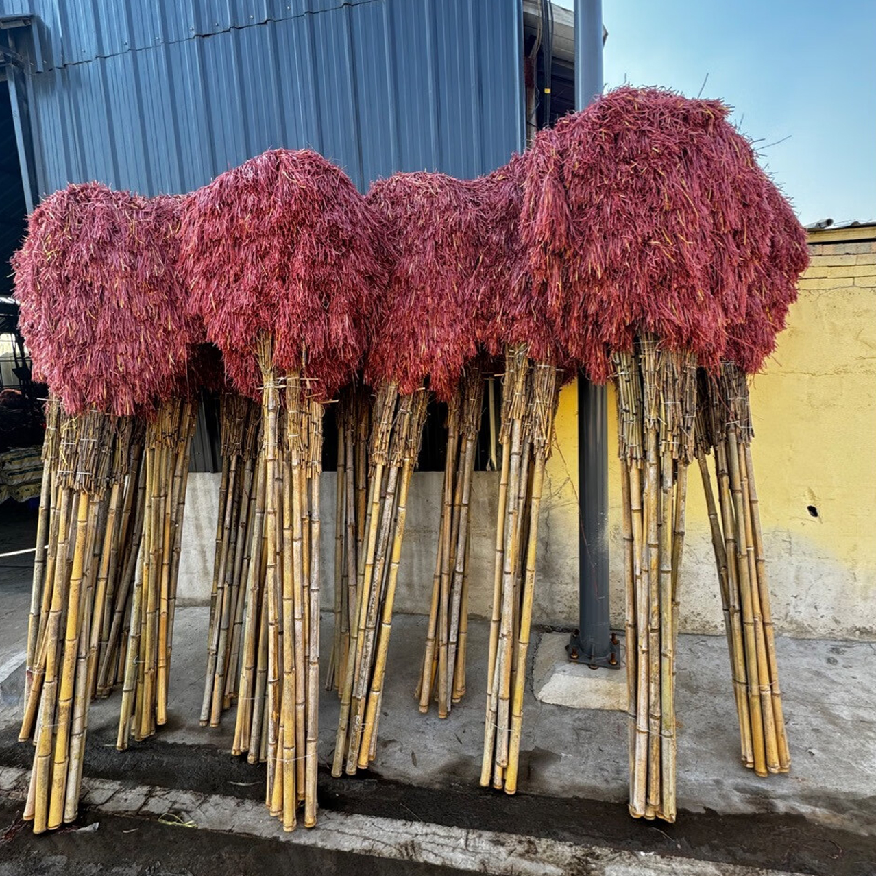 谋福 老式扫帚 户外笤帚小扫把[1.5米黑皮(金枝)带叶]*/个高清大图