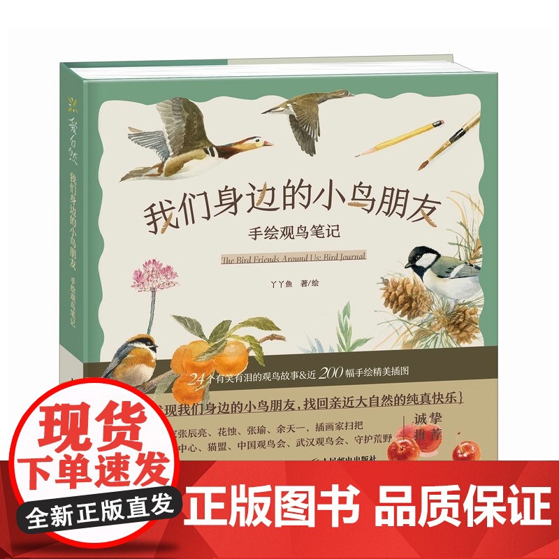 我们身边的小鸟朋友 手绘观鸟笔记 青少年少儿科普读物 课外读物 鸟类科普图鉴 手绘插画 本书适合自然爱好者和艺术爱好者阅高清大图