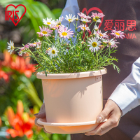日本爱丽思Deepot彩色深型月季绿植树脂爱丽丝大口径塑料加仑厚花盆