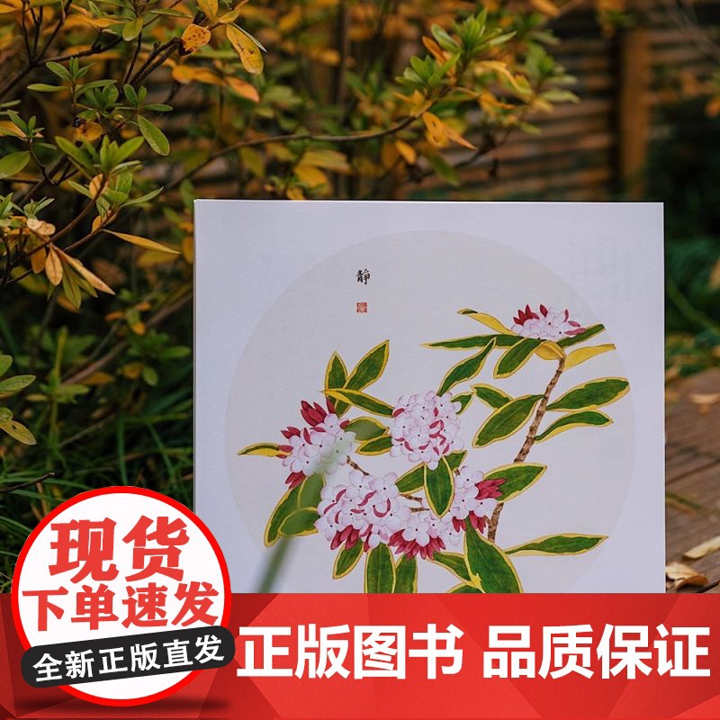 二十四番花信风 工笔花卉画片集 附教学视频/花笺 工笔画花卉技法白描底稿勾线稿中国风古风花鸟小品初学者基础入门教程临摹册高清大图