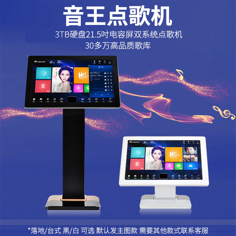 奔腾(BNTN)家庭ktv音响套装家庭影院卡拉OK家用点歌机会议客厅舞台演出音箱酒吧音响8100功放一拖四机柜4.1套装