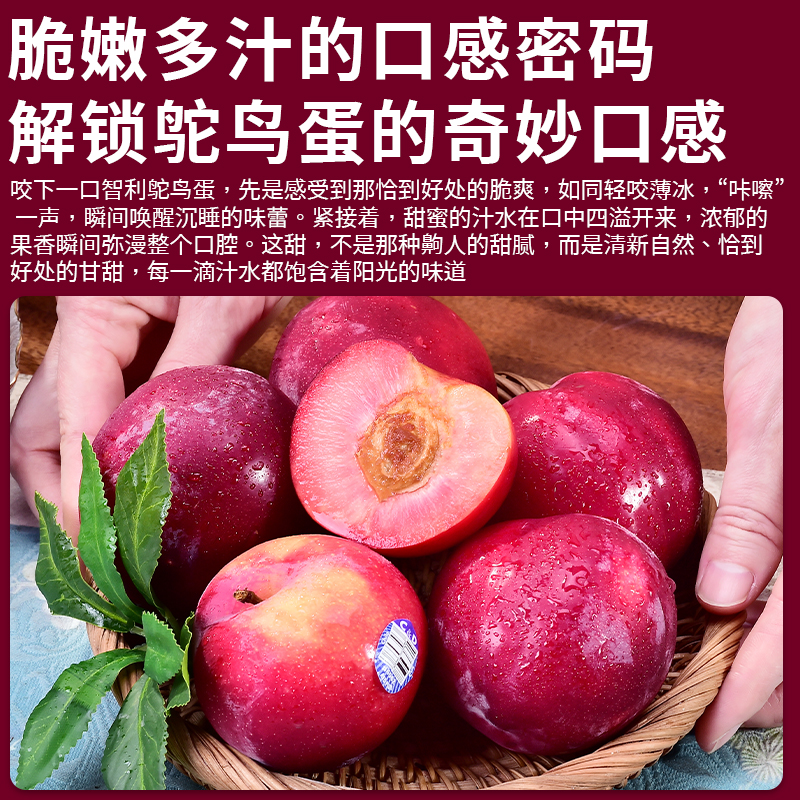 [西沛生鲜]智利鸵鸟蛋李子 净重3斤高清大图