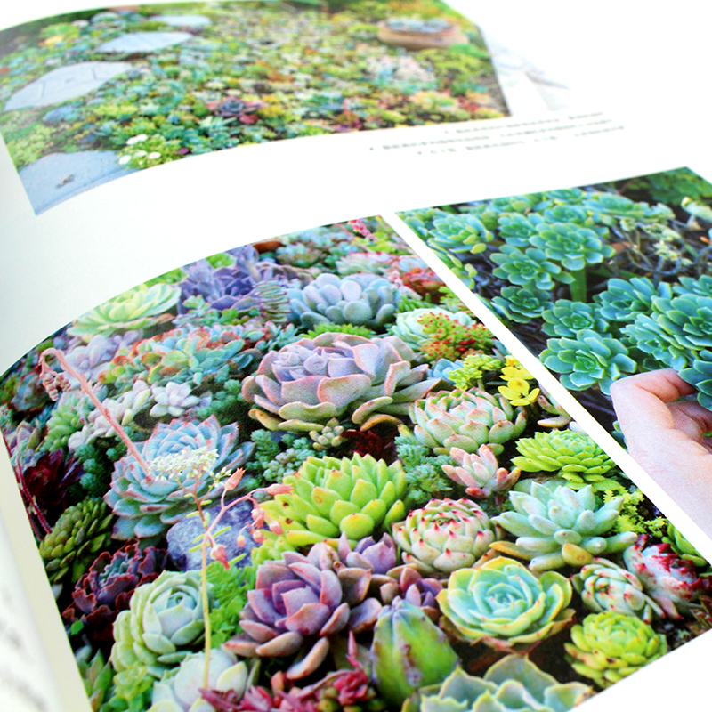 [正版]中文版 植物美学:与花草相伴的日子 Aesthetica Botanica 庭院室内景观软装设计 多肉手工D高清大图