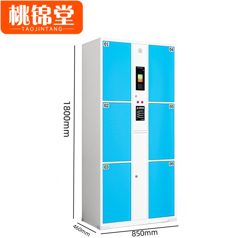 桃锦堂存包柜 智能柜6门台