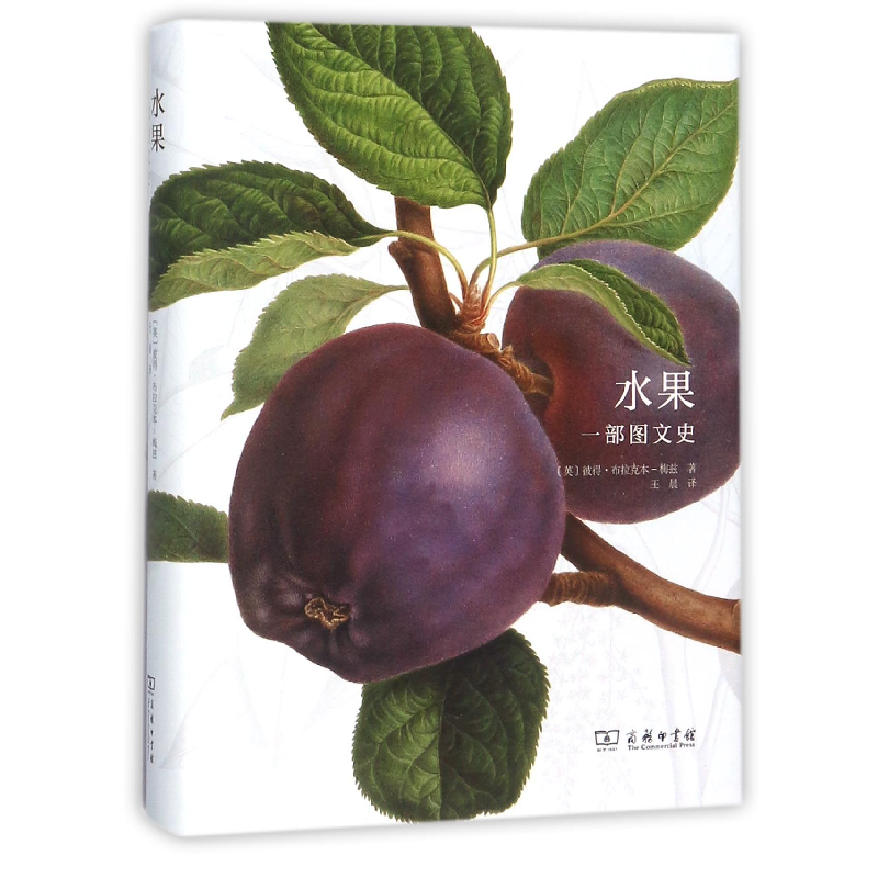 音像水果(一部图文史)(精)(英)彼得·布拉克本-梅兹|译者:王晨