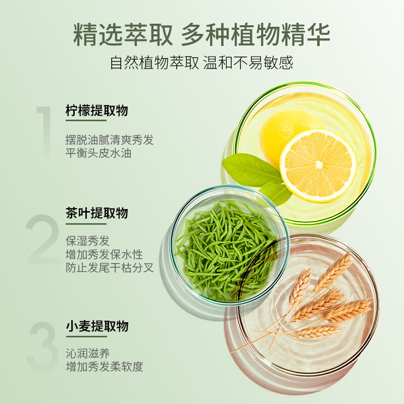 柏缇 控油轻盈洗发露 800ml高清大图