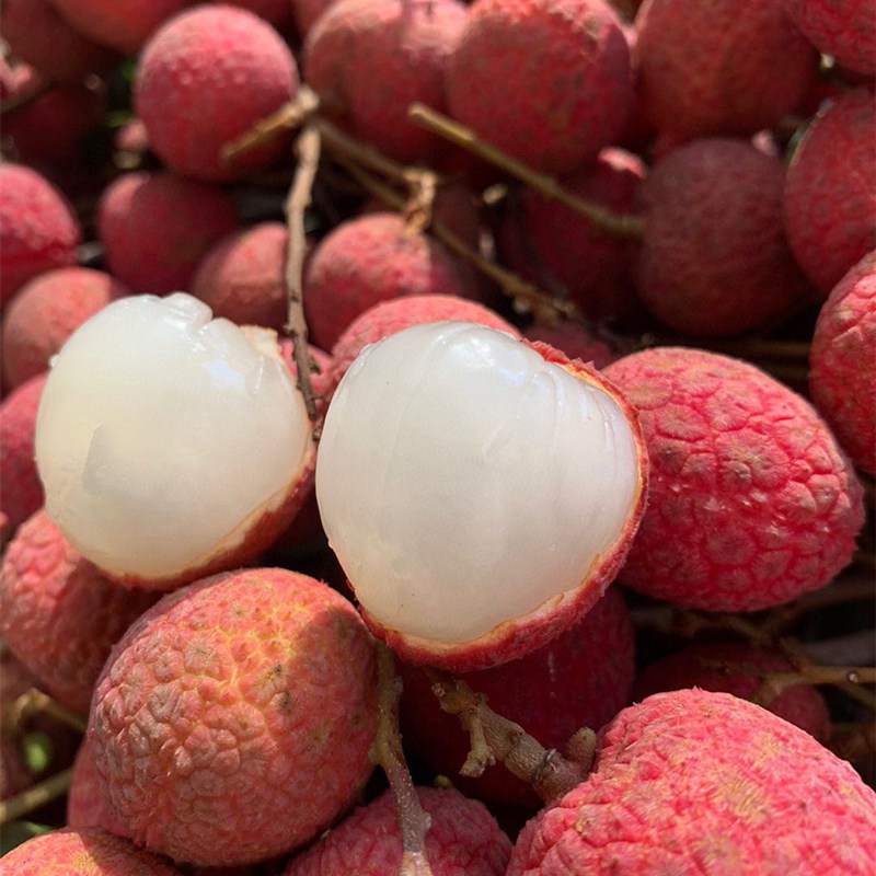 西沛生鲜海南桂花香荔枝新鲜水果甜美多汁45斤礼盒装