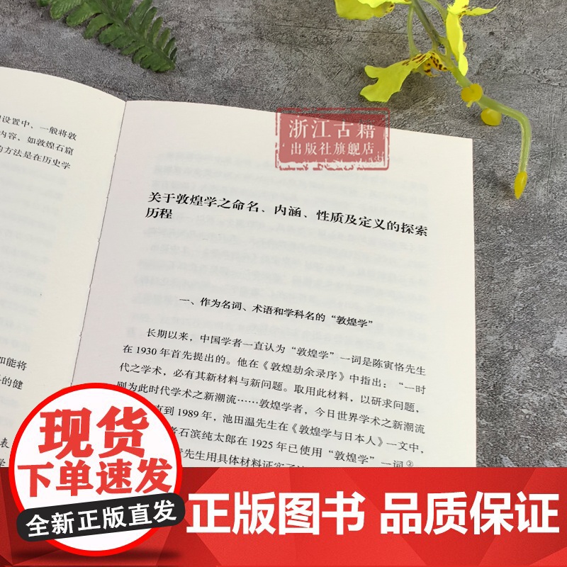 问学丛书:敦煌学随笔 首都师范大学燕京人文讲席教授 郝春文 敦煌与敦煌学、敦煌学史及介绍敦煌遗书价值等方面 敦煌学入门图高清大图