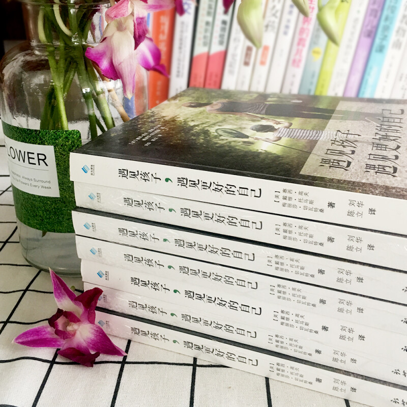 [正版]遇见孩子,遇见更好的自己亲子关系家庭教育家教育儿早教0-12岁给孩子一个好性格孩子是个哲学家情商教育书籍 正面管高清大图