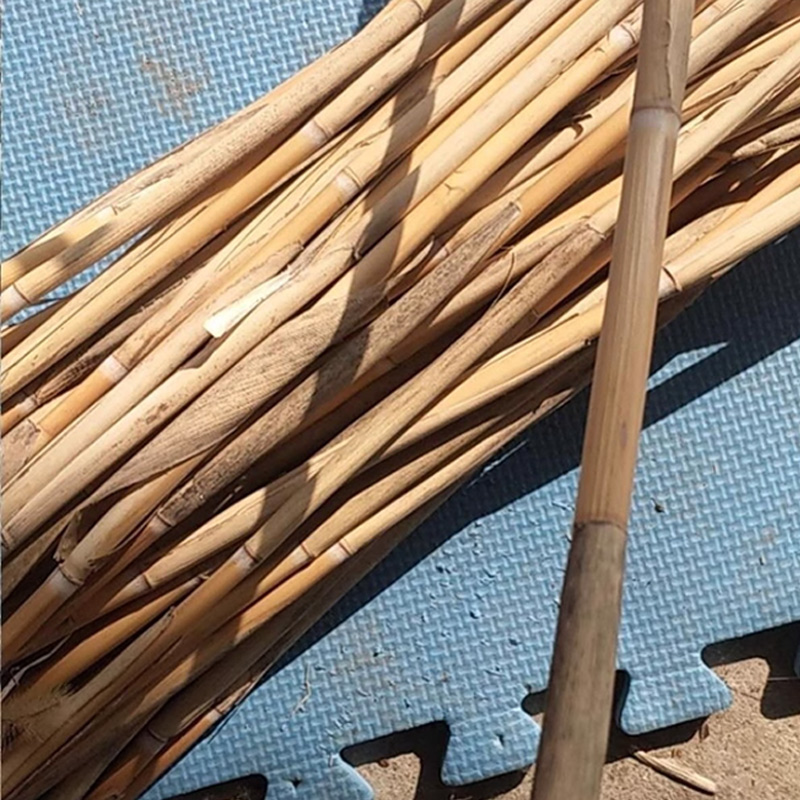 璐盐 防沙芦苇束帘 LY-C2 平方米高清大图