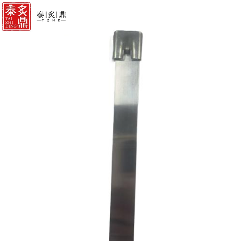 泰炙鼎 不锈钢扎带 19*1600mm 根高清大图