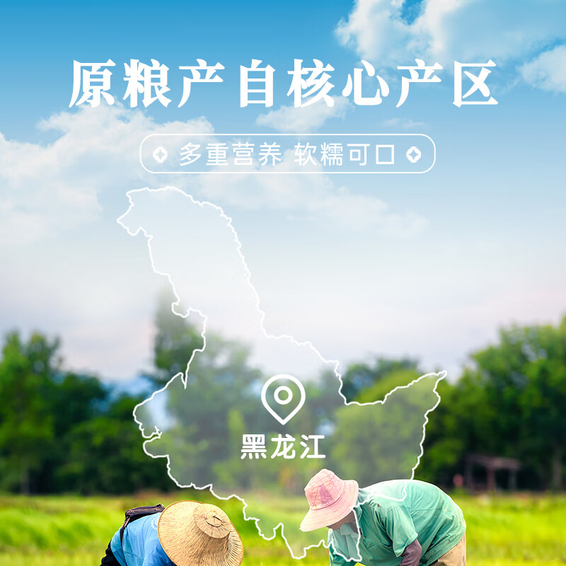 守粒寒地东北香米5kg高清大图