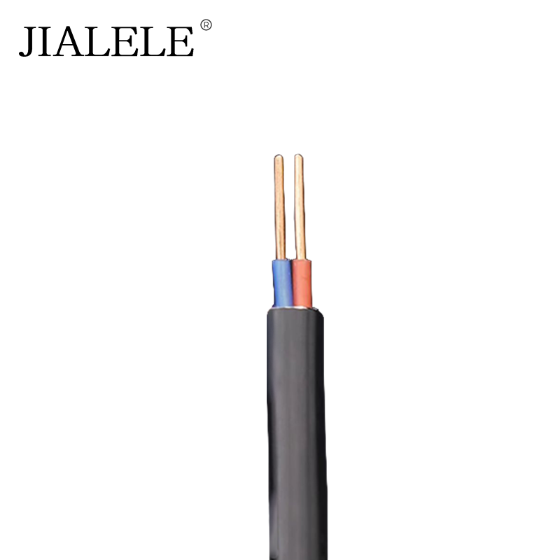 JIALELE 铜芯电缆 ZC-YJV-2*10mm平方 额定电压0.6/1KV 米高清大图