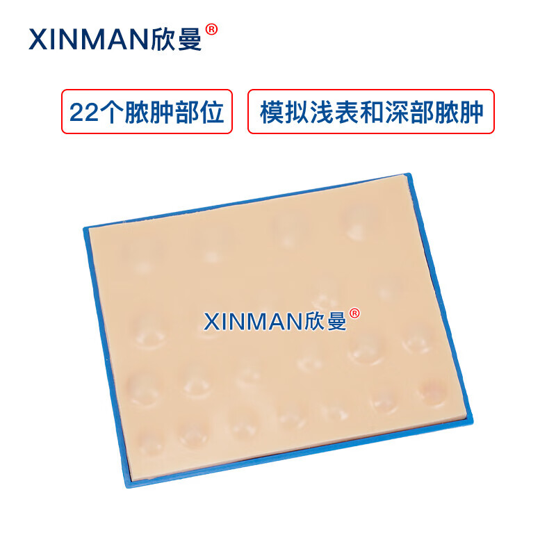 欣曼科教 脓肿切开引流术模块 脓肿切开模型XM-NZB高清大图