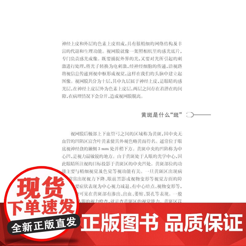 健康中国家有名医丛书老年眼病诊断与治疗 上海科学技术文献出版社常见眼疾病因诊断方法治疗方案高清大图