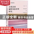 文化企业融资风险管理研究