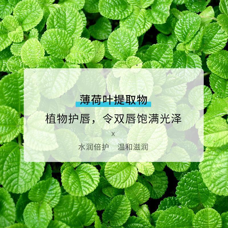 1支10g装 泊泉雅保湿倍护润唇啫喱 补水滋润唇膏啫喱去角质护肤品 唇部护理