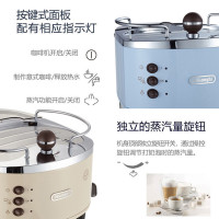 德龙(DeLonghi)ECO310.VGR 泵压式咖啡机 家用意式半自动不锈钢锅炉 蒸汽奶泡卡布奇诺咖啡机