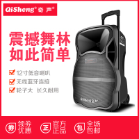 Qisheng/奇声广场舞音响移动便携式移动便携式户外拉杆音箱LX-L12无咪版