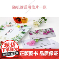 花颜花语 197种实用的四季花卉手册和花语图鉴 花艺书籍诞生花星座守护花花图鉴花店花养花花语植物图鉴大全书明信片宇田川佳