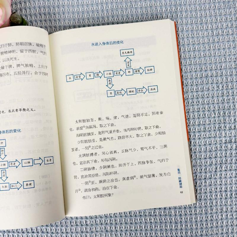 正版新书]黄帝内经思维导图陈南萍 编著 编9787516929544高清大图