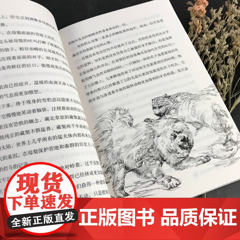 黑焰/黑鹤动物小说精品系列 小学生三四五六年级课外阅读书目6-7-9-12岁儿童文学读物 格日勒其木格故事图书籍正版老师高清大图