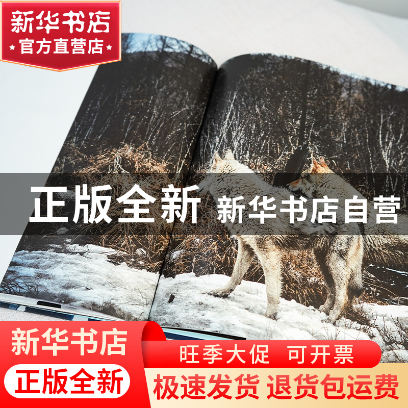 正版 小狗的旅程 格日勒其木格·黑鹤著 海豚出版社 9787511058881高清大图