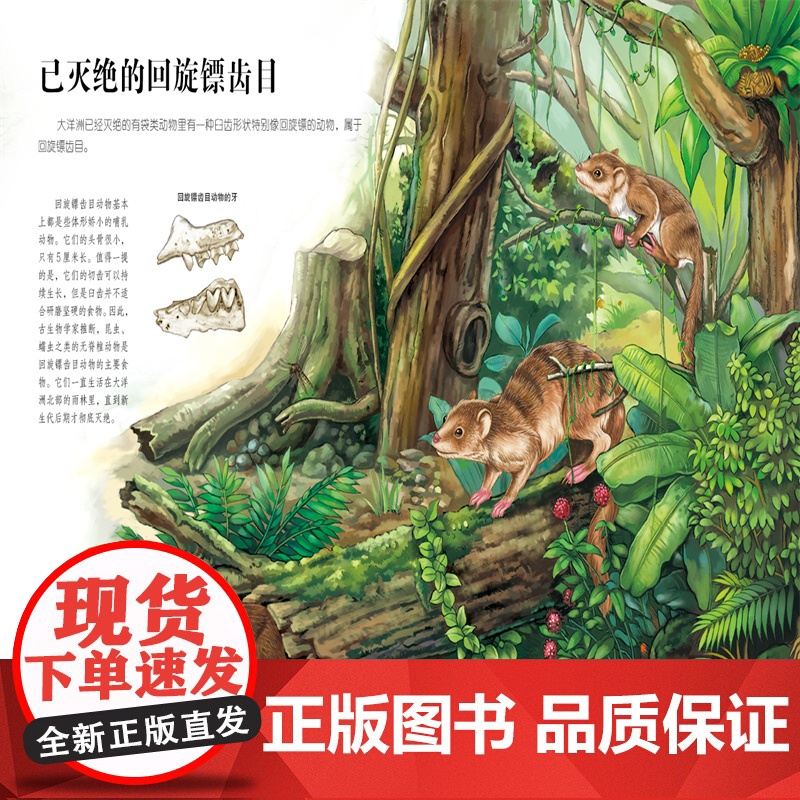 生命简史 穿越地球46亿年 有袋类和灵长类动物 6-12-15岁儿童中小学生青少年科普读物 宇宙起源地球形成生命诞生史前高清大图