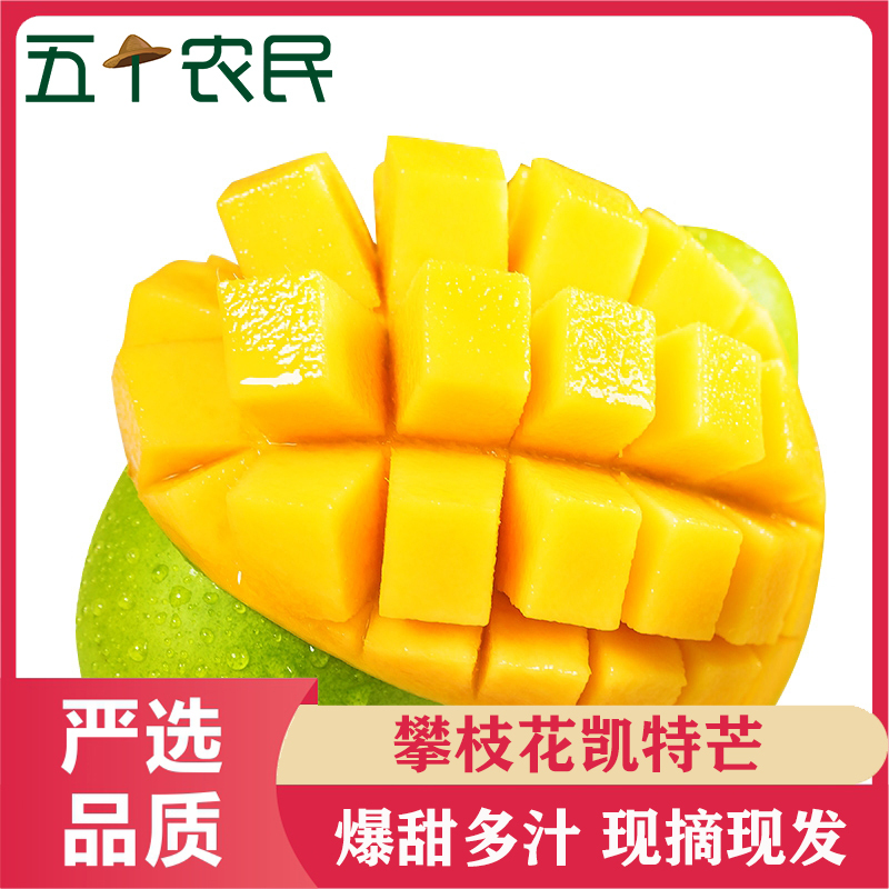 [五个农民]攀枝花凯特芒带箱5斤芒果水果当季新鲜水果四川特产