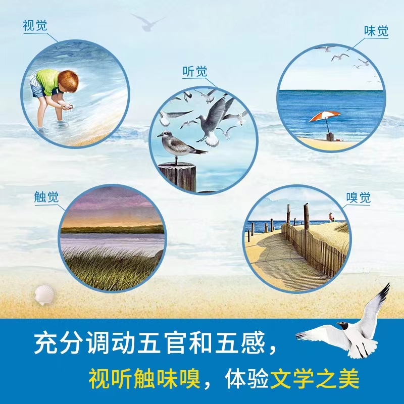 [正版] 妈妈带我去看海 3-6岁幼儿园早教书籍美国图画书作者夏洛特佐罗托 教孩子们融入自然 打开眼界用心观察 热卖高清大图