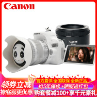 佳能(Canon)EOS 200D II代单反相机18-55 STM+50/1.8 STM双镜头套装 200d白色礼包版