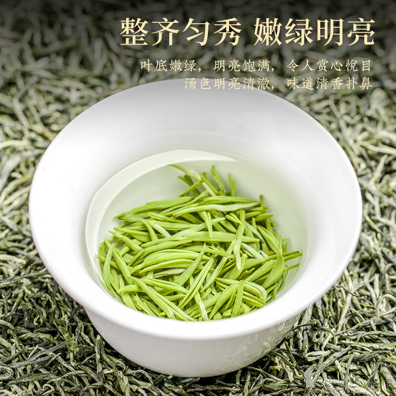 新品如故ZC-CCJD-MJ品如故绿茶毛尖茶叶2025新茶信阳明前嫩芽春茶新老包装 随机发货高清大图