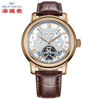 海鸥表(SEA-GULL)男表机械男士手表镂空多功能皮带表D519.625