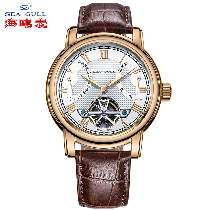 海鸥表(SEA-GULL)男表机械男士手表镂空多功能皮带表D519.625