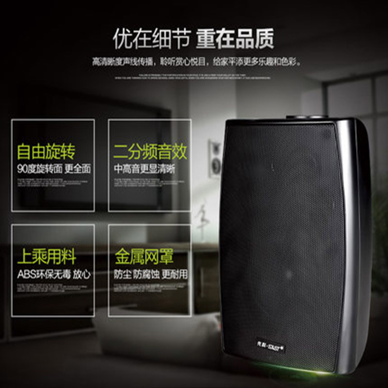 SAST/先科 D40 壁挂式音箱 公共广播挂壁音响教室教学商店超市会议定压喇叭同轴 20W 4寸 黑色