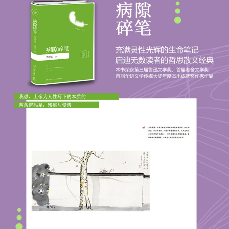 [正版]病隙碎笔史铁生著吴冠中画作插图珍藏版我想上帝为人性写下的本质的两条密码是残疾与爱情中国近代随笔名家经典书店书籍高清大图