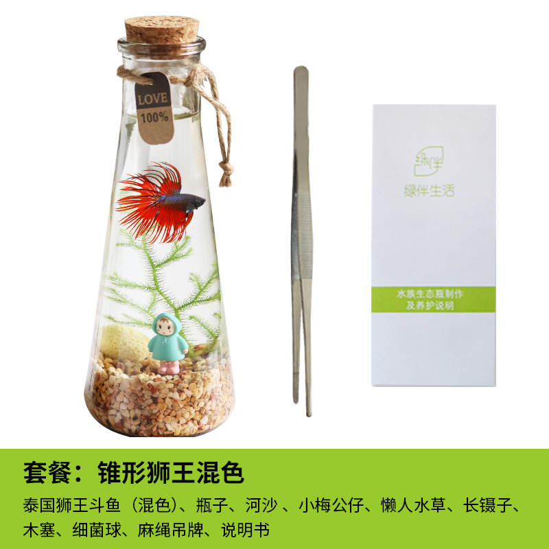 斗鱼生态瓶封闭小鱼瓶免换水瓶装观赏鱼玻璃桌面透明微景观鱼小型