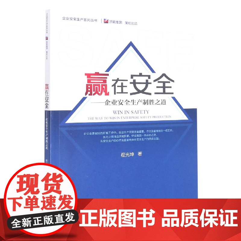 赢在安全--企业安全生产制胜之道/企业安全生产系列丛书高清大图