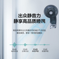 艾美特(Airmate) 电风扇家用遥控墙挂式 风扇摇头餐厅壁挂壁式 挂墙壁 FW18-R3