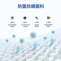 尔迈 3D椰棕20CM床垫 邦尼尔弹簧床垫 席梦思床垫 极光白1800*2200白