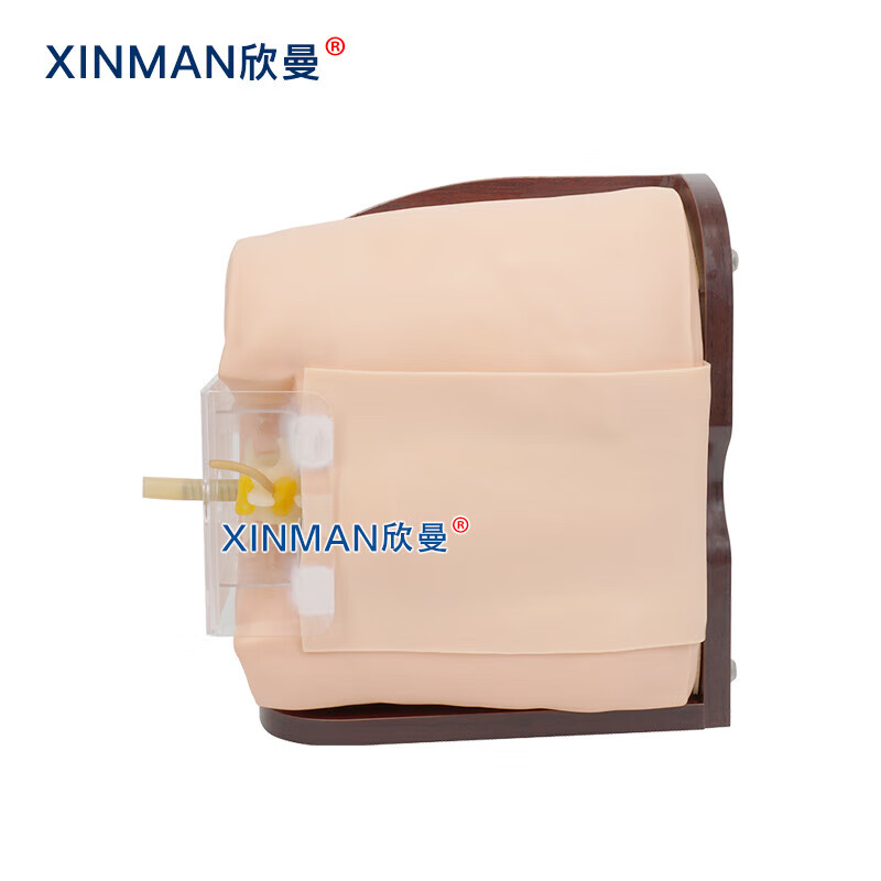 欣曼科教 椎管内麻醉腰椎穿刺模型 脊椎穿刺模拟人XM-YC03高清大图
